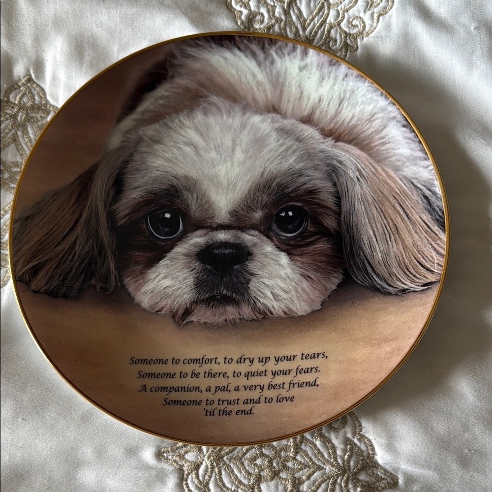 Adorable Shih Tzu Decorative Plate
